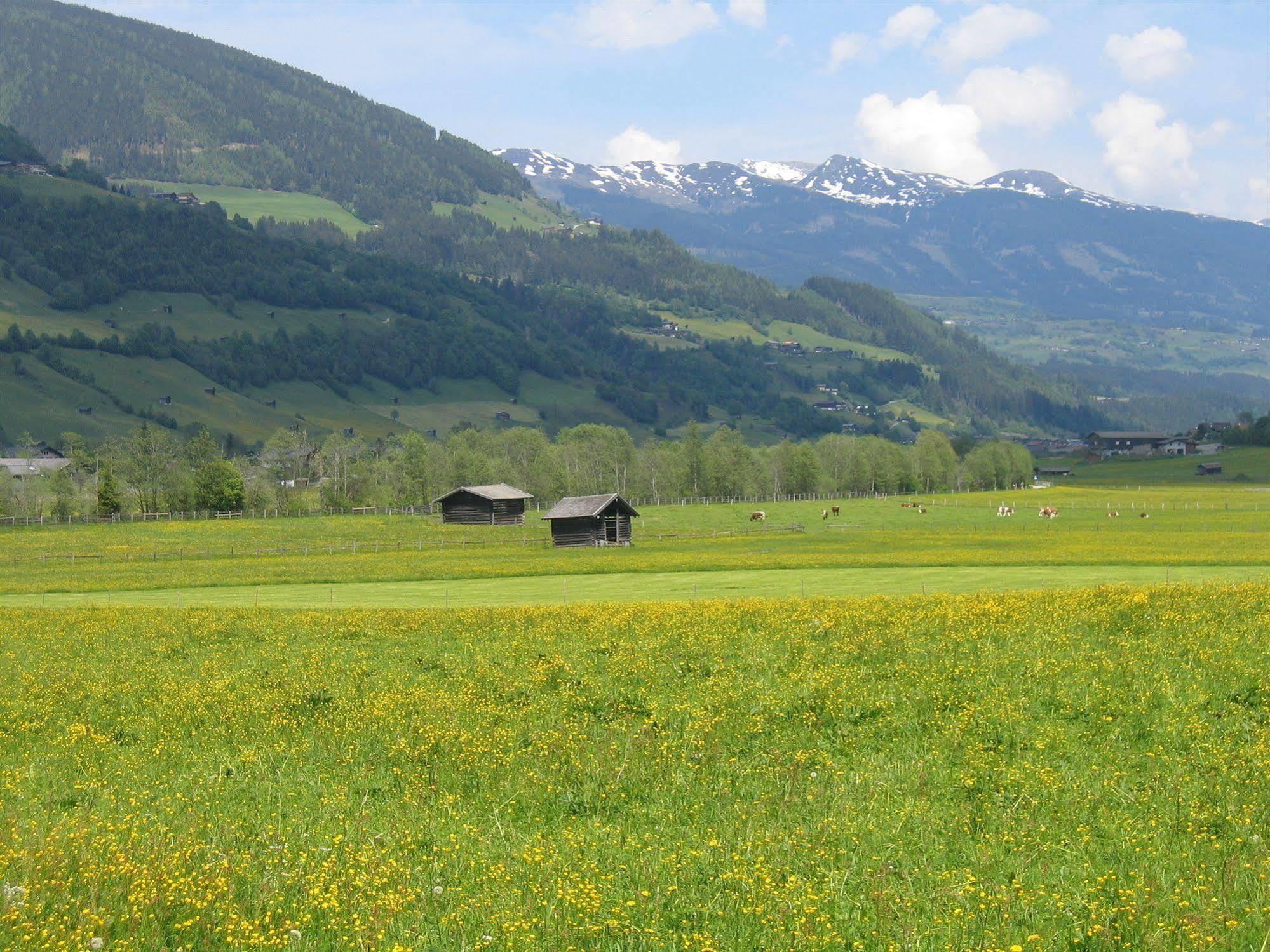 Pension Kristall Bramberg am Wildkogel Dış mekan fotoğraf